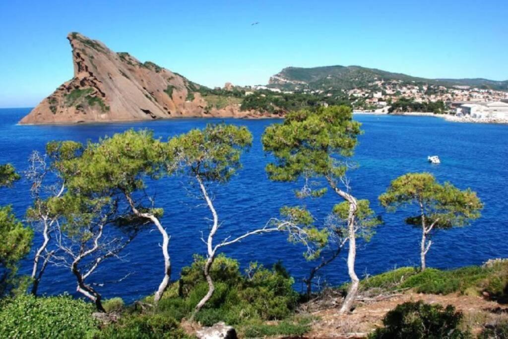 L'Oree De La Plage: Appt. Tout Confort 4/6 Pers. 400 M De La Plage La Ciotat Buitenkant foto